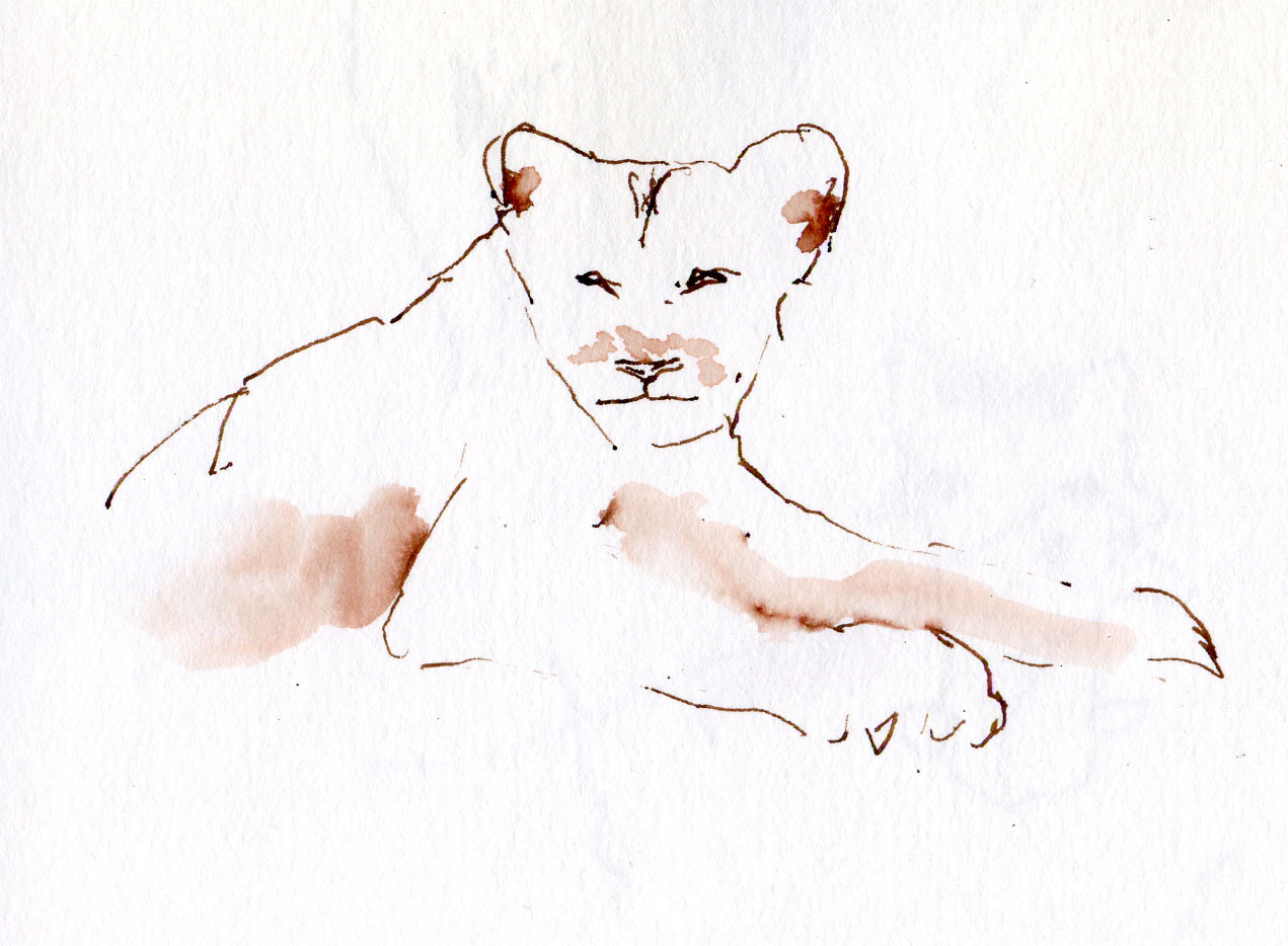 1271x934 Fueled By Clouds Amp Coffee Zoo Lightning Sketches - Lightning Sketch