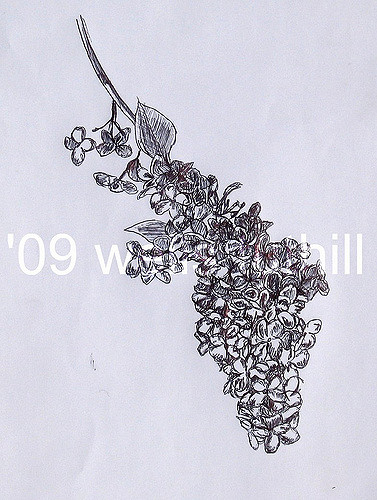 377x500 Lilac Sketch First Still Life Study In 10 Yrs! Penny Nickels - Lilac Sketch