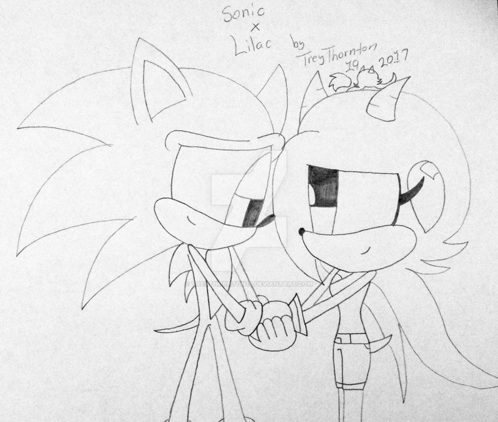 970x823 Sonic X Lilac Sketch By Treythornton19 - Lilac Sketch