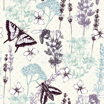 440x440 Vintage Background With Lilac Lavender Flowers Sketch Stock Vector - Lilac Sketch