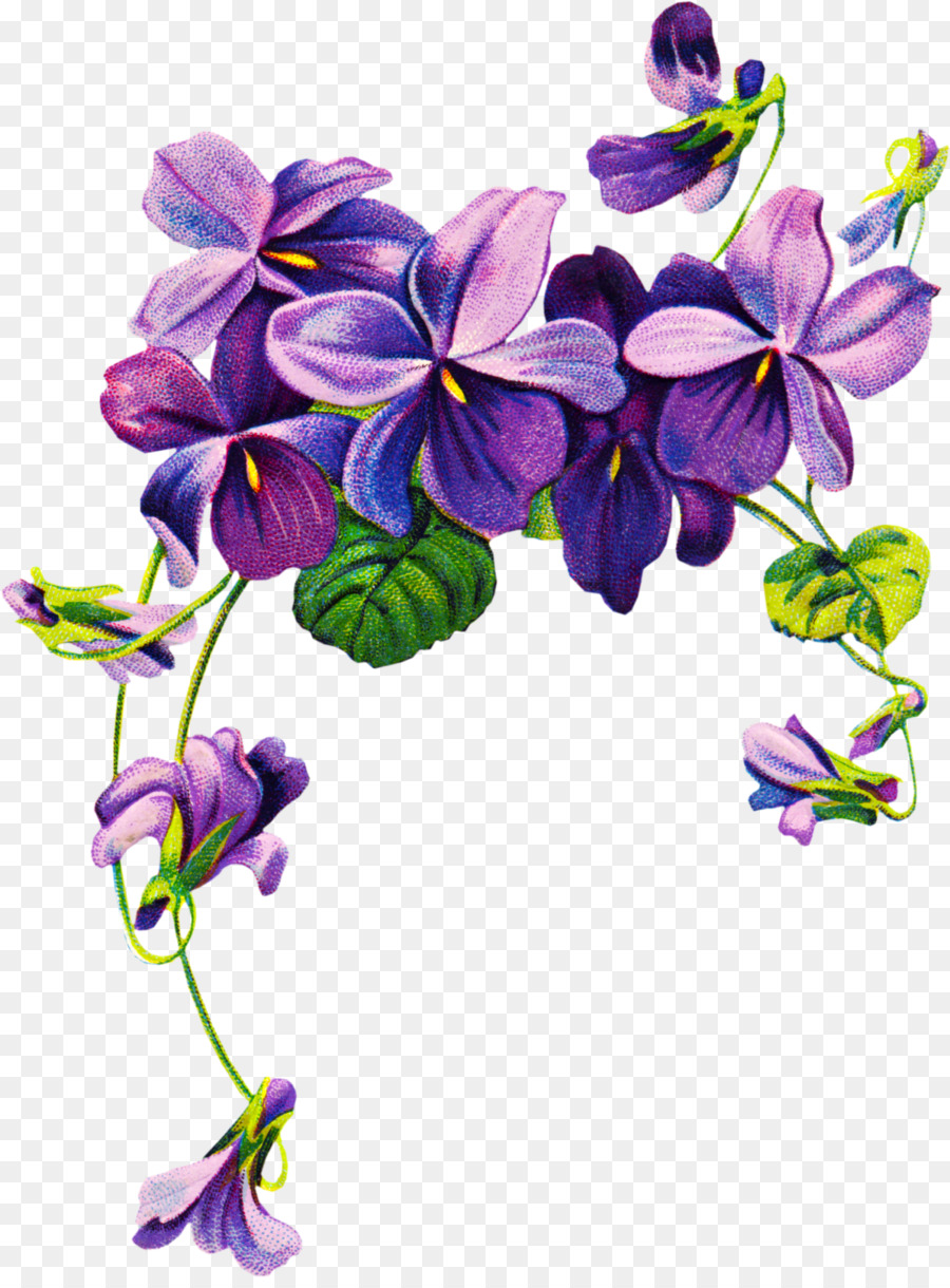 900x1220 Violet Clipart Sketch - Lilac Sketch