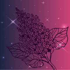 240x240 Lilac Sketch Photos, Royalty Free Images, Graphics, Vectors - Lilac Sketch