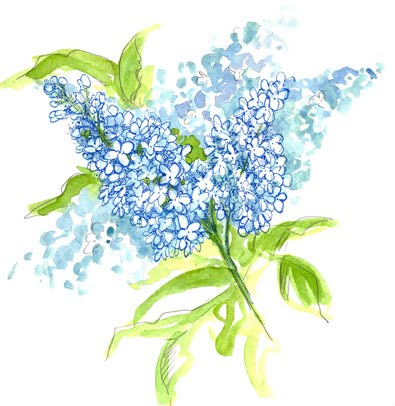 395x406 Blue Lilac Cross Stitch And Ellie Cat - Lilac Sketch