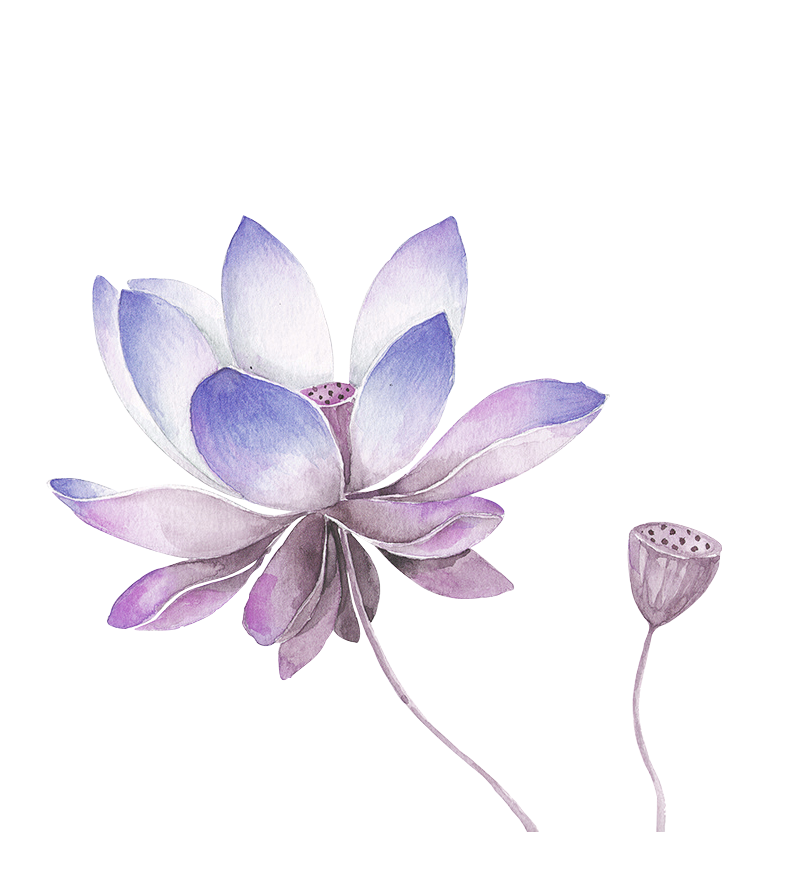 800x886 Collection Of Free Lilac Drawing. Download On Ubisafe - Lilac Sketch