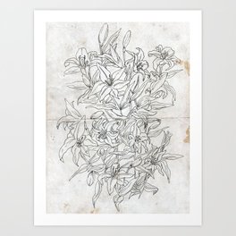 264x264 Lily Drawing Art Prints Society6 - Lillies Sketch
