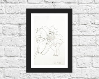 340x270 Lily Drawing Etsy - Lillies Sketch