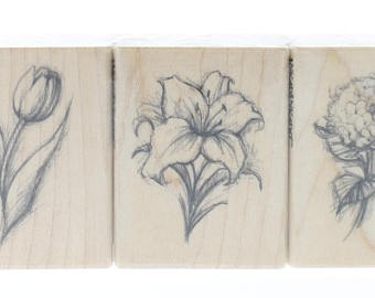 340x270 Deep Red Rubber Stamp Lillies Pen And Ink Drawing Sketch Etsy - Lillies Sketch