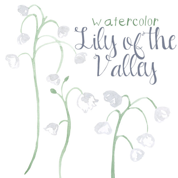 570x570 Lily Of The Valley Clipart Black And White 3672780 - Lily Of The Valley Sketch