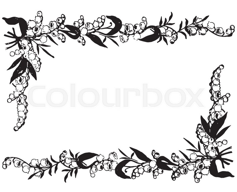 800x650 Lily Of The Valley Clipart Black And White Free Collection - Lily Of The Valley Sketch