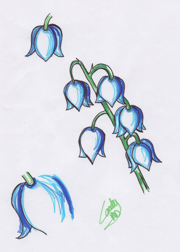 757x1056 Lily Of The Valley Tattoo By Snipersangel - Lily Of The Valley Sketch