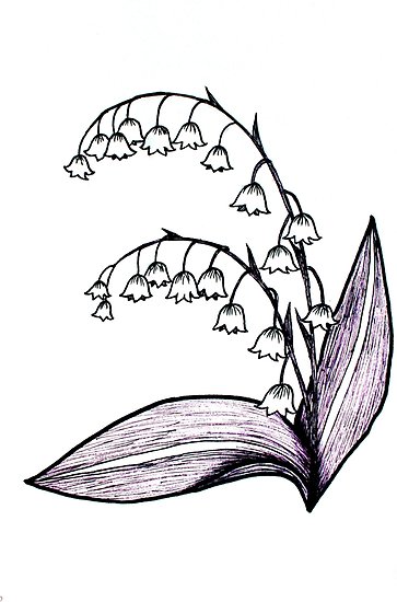 363x550 Lily Of The Valley Drawing Posters By Madbrad Redbubble - Lily Of The Valley Sketch