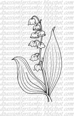 236x372 Drawn Lily Fancy Flower - Lily Of The Valley Sketch