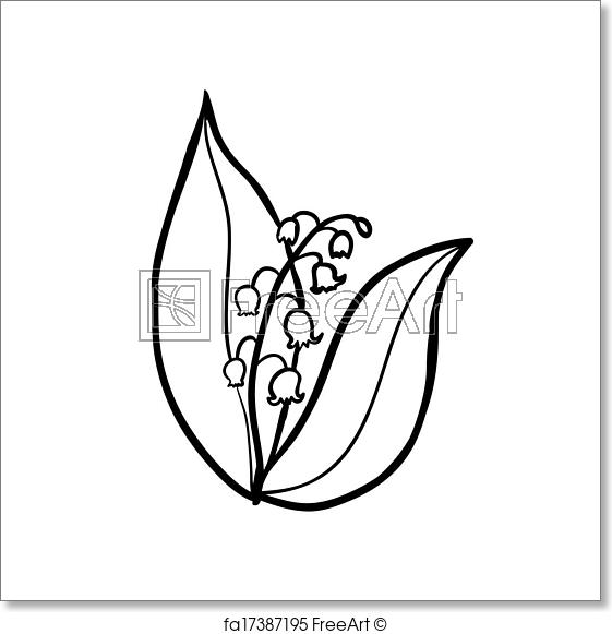 561x581 Free Art Print Of Lily Of The Valley Sketch. Vector Hand Drawn - Lily Of The Valley Sketch