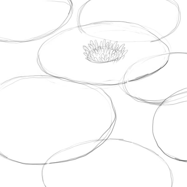 600x600 How To Draw A Lily Pad - Lily Pad Sketch