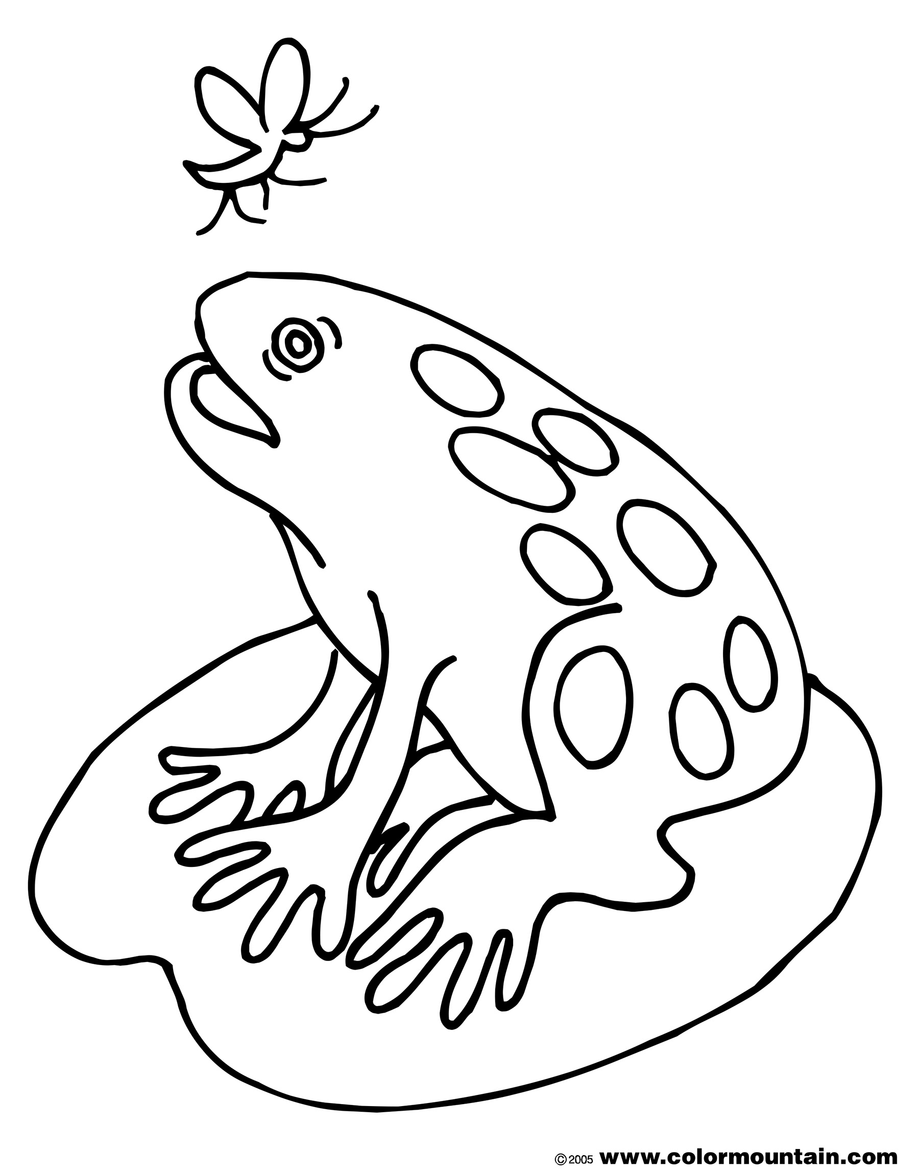 1800x2294 Improved Frog And Lily Pad Coloring Pages On Drawing At - Lily Pad Sketch