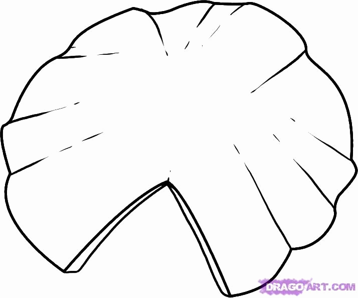 714x593 Online Sketch Pad Best 25 Online Drawing Pad Ideas - Lily Pad Sketch