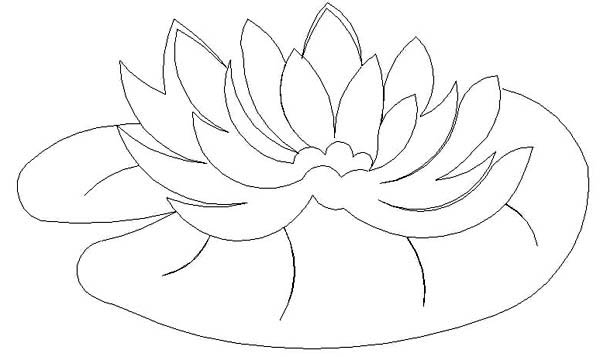600x357 Water Lily Pad Coloring - Lily Pad Sketch