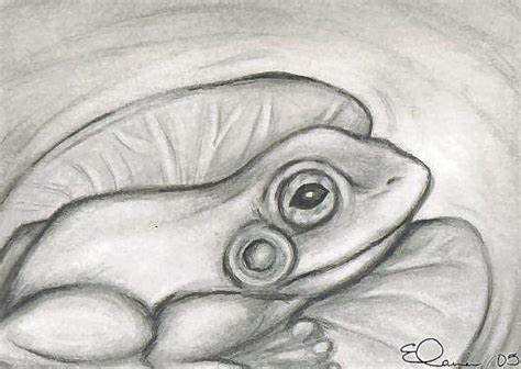 474x336 Frog On Lily Pad Drawing. How To Draw A Frog On Lily Pad - Lily Pad Sketch