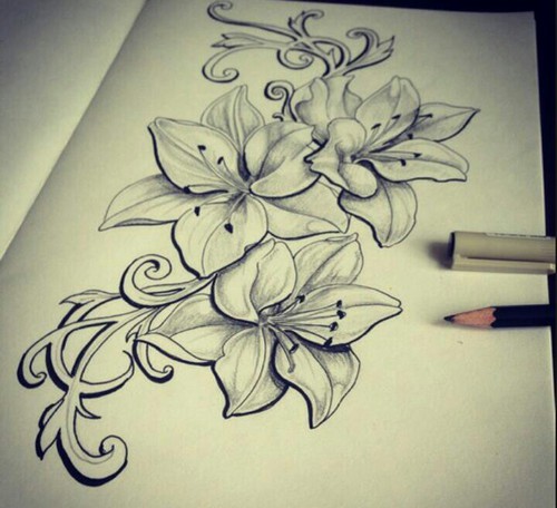 500x456 Lily Sketch Discovered By Am On We Heart It - Lily Sketch