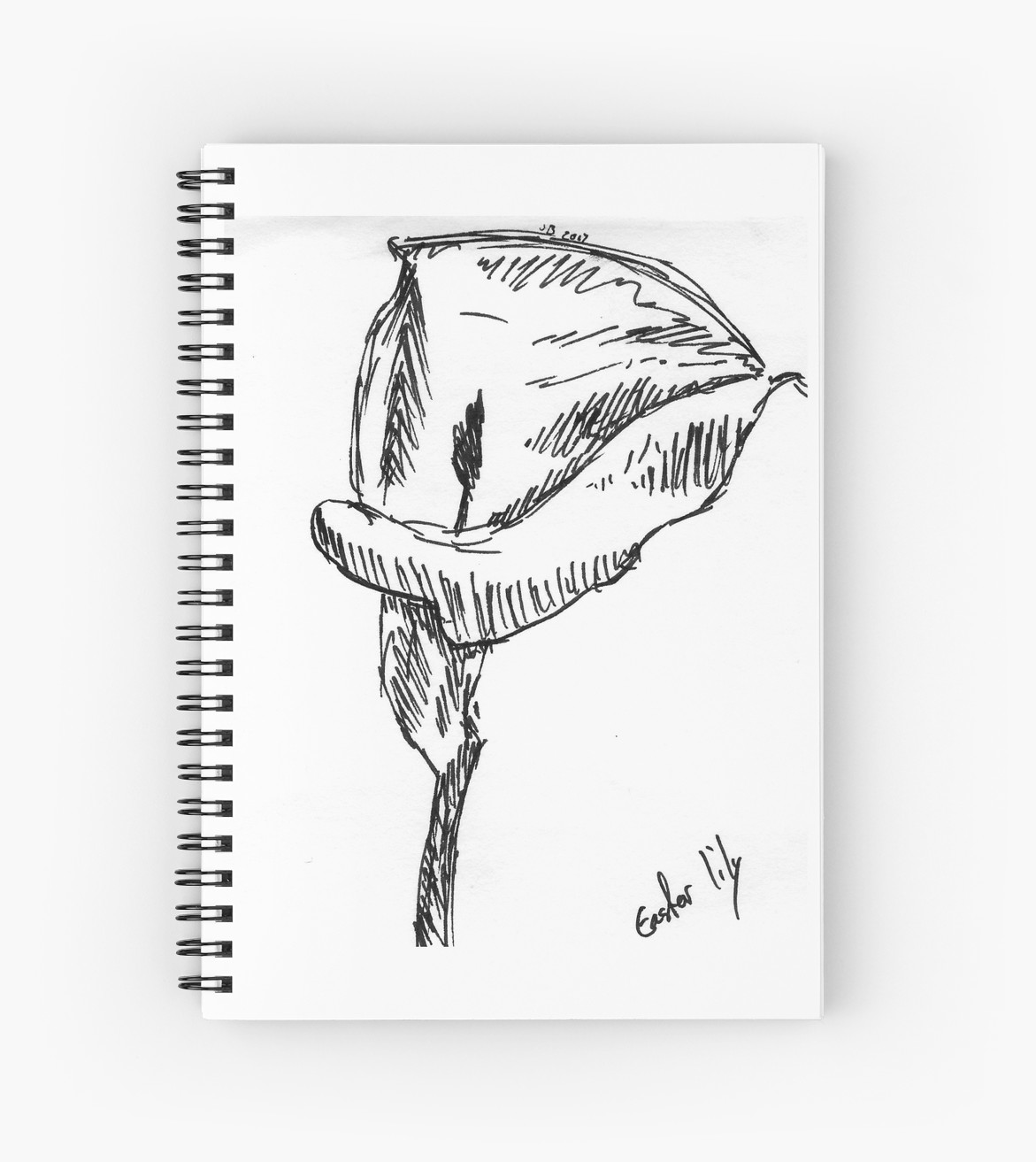 1171x1313 Easter Lily Sketch Spiral Notebooks By Juliadream Redbubble - Lily Sketch