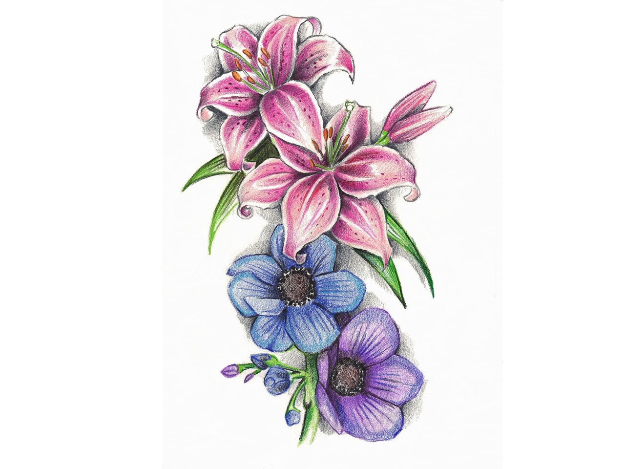 1280x960 Index Of Wp Contentgallerycategory Flower Tattoos - Lily Sketch Tattoo
