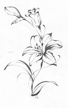 236x373 Lily Tattoo 2 By On @ Tattoo - Lily Sketch Tattoo