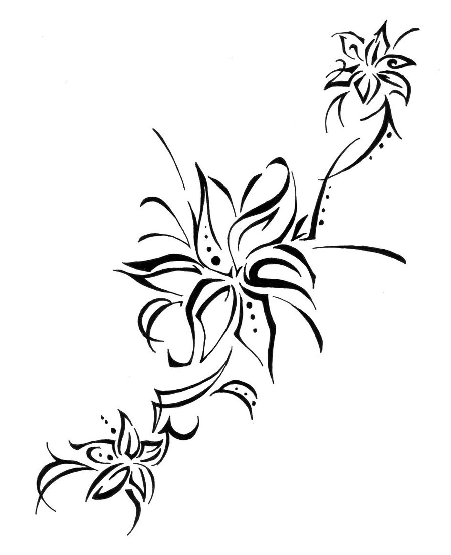 900x1107 Lily Tattoo Sketch By Colorfulcandie - Lily Sketch Tattoo