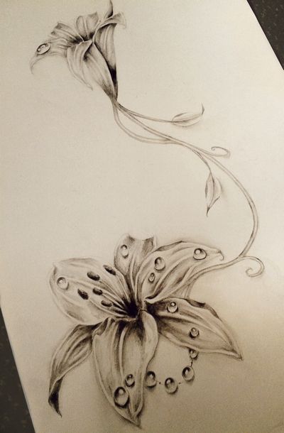 Lily Sketch Tattoo at PaintingValley.com | Explore collection of Lily ...