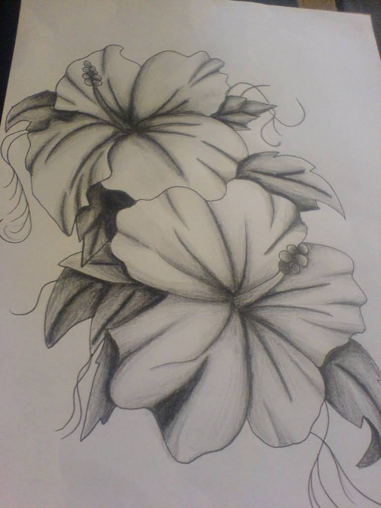 774x1032 Flower Sketches Tattoo - Lily Sketch Tattoo