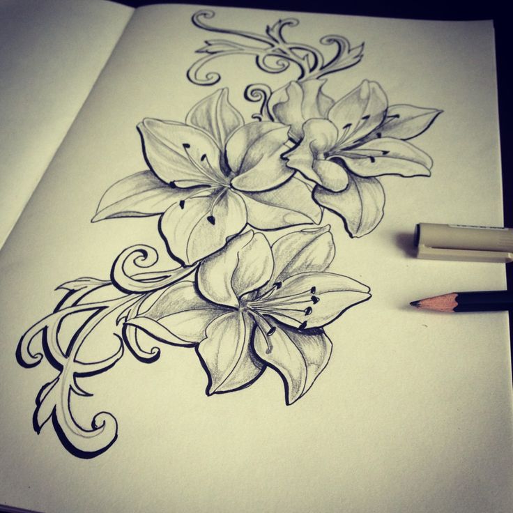 Lily Tattoo Sketch at PaintingValley.com | Explore collection of Lily ...