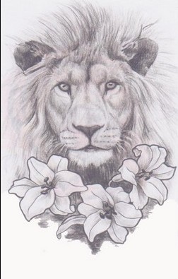 252x395 Flower Tattoo Sketch - Lily Tattoo Sketch