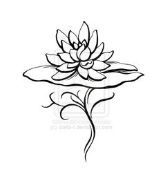 236x252 Lilly Pad Water Lilly Lotus Flower Tattoo Sketch By - Lily Tattoo Sketch
