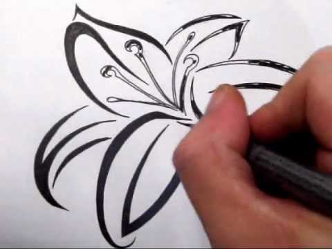 480x360 Lily Tattoos - Lily Tattoo Sketch