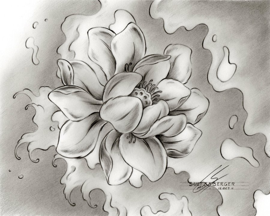 900x720 Collection Of Water Lily Tattoo Drawing High Quality, Free - Lily Tattoo Sketch