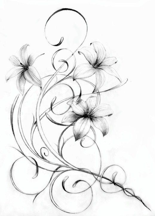 519x720 Pin By Plafonddroogrek.nl On Geweldig Tattoo, Tatoo - Lily Tattoo Sketch