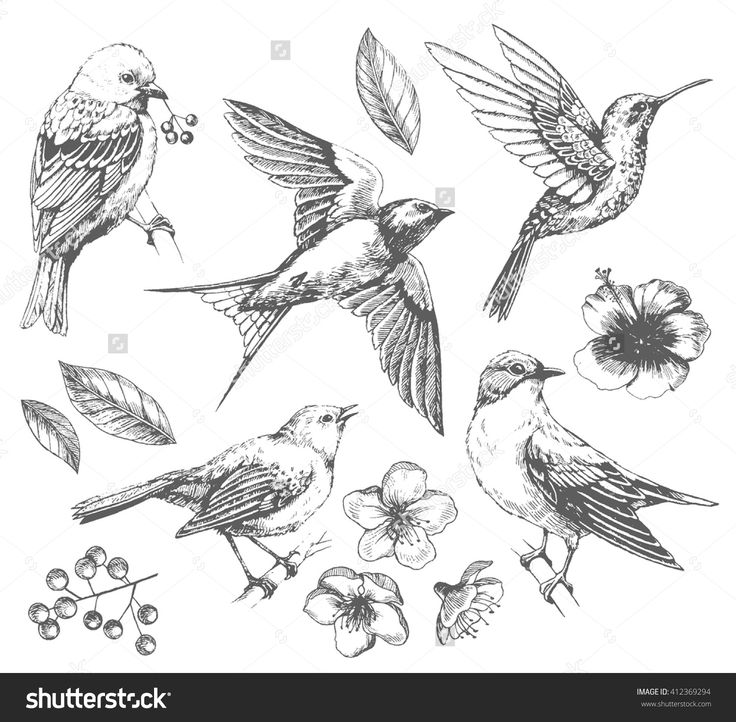 736x722 Drawn Phone Line Drawing - Line Sketch Of Flowers