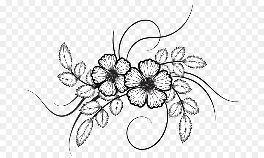 900x540 Flower Drawing - Line Sketch Of Flowers