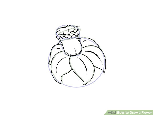 640x480 9 Easy Ways To Draw A Flower - Line Sketch Of Flowers