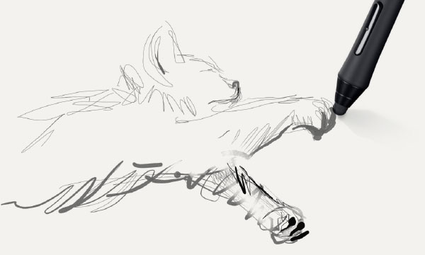 600x360 Tayasui Sketches Pro Features - Line Sketch Pictures