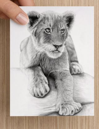 319x417 Lion Cub - Lion And Cub Sketch