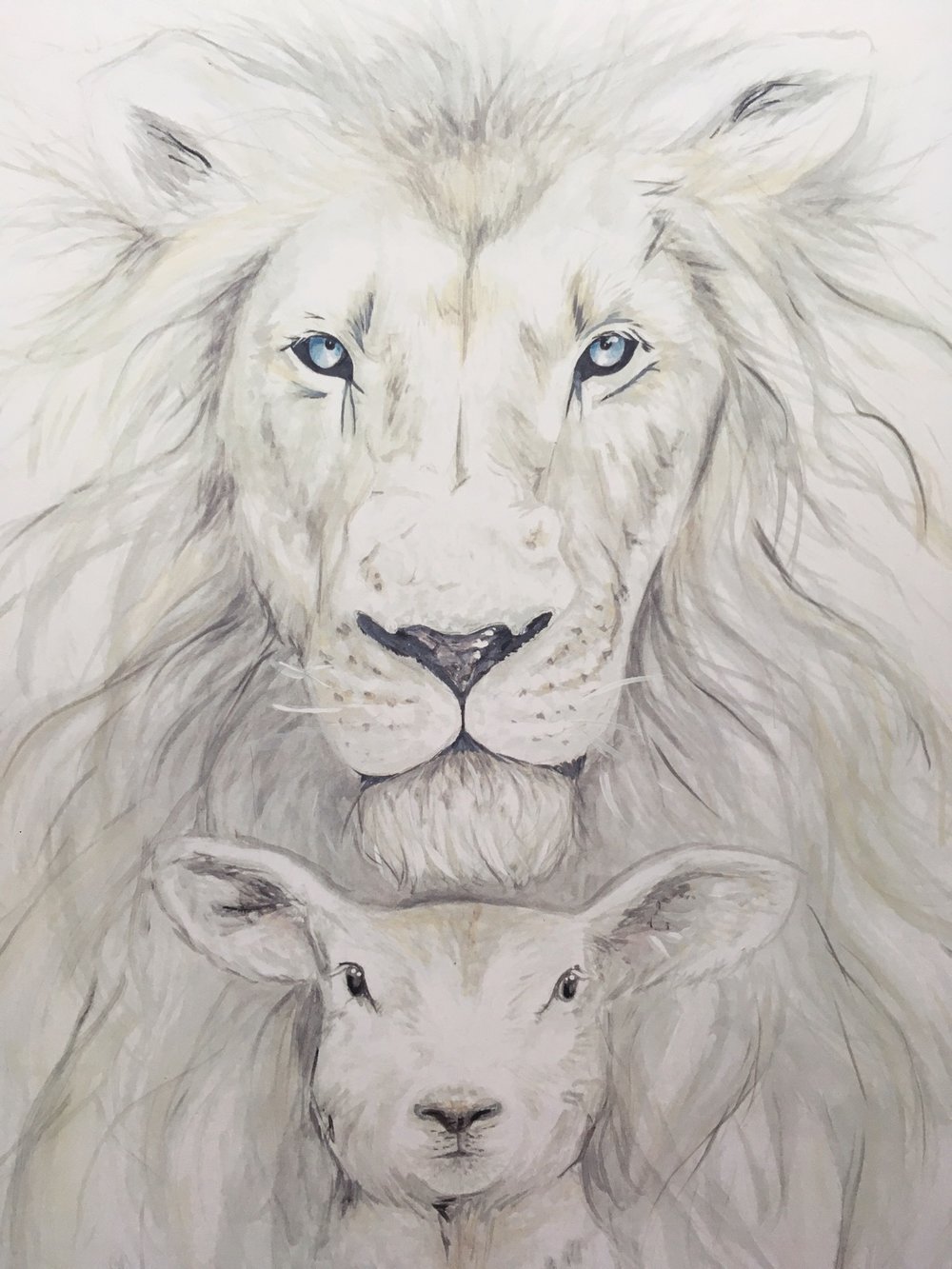 1000x1333 Lion Amp The Lamb Katelyn Morse - Lion And Lamb Sketch