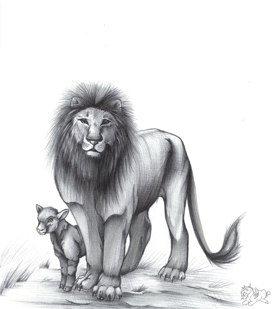 900x1012 Lion And Lamb Bw By Ladyinsomnia22 - Lion And Lamb Sketch