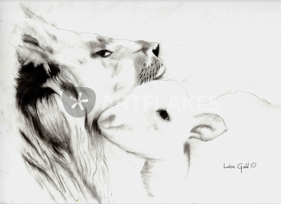 950x690 Lion And The Lamb Drawing Art Prints And Posters By Linda Ginn - Lion And Lamb Sketch