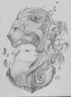 236x321 The 33 Best Lion And Lamb Tattoo Drawings Images - Lion And Lamb Sketch