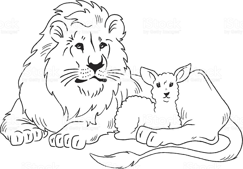 1024x712 Collection Of Free Heep Clipart Lion Lamb. Download On Ubisafe - Lion And Lamb Sketch