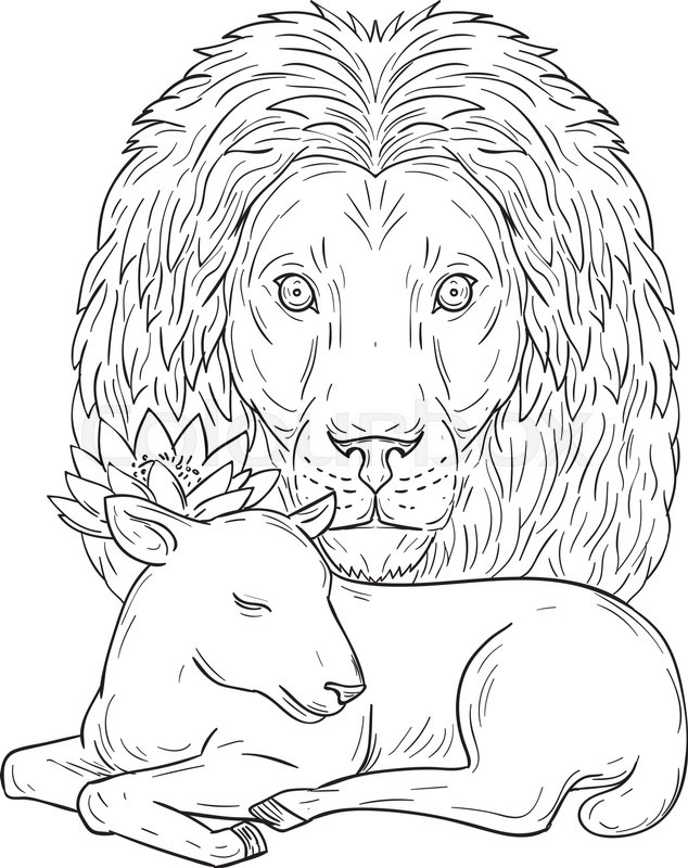 634x800 Drawing Sketch Style Illustration Of A Lion Head Watching Over A - Lion And Lamb Sketch