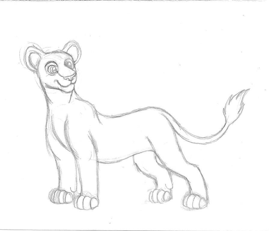 895x768 Lion King Lioness Free Sketch By Cassandramarteena - Lion And Lioness Sketch