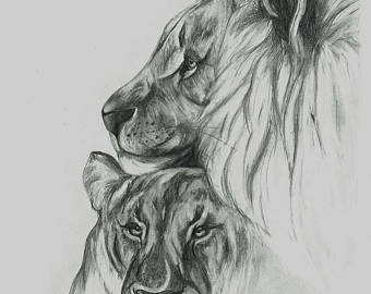 340x270 Lion And Lioness Wedding Cake Topper Family Wedding Cake Etsy - Lion And Lioness Sketch
