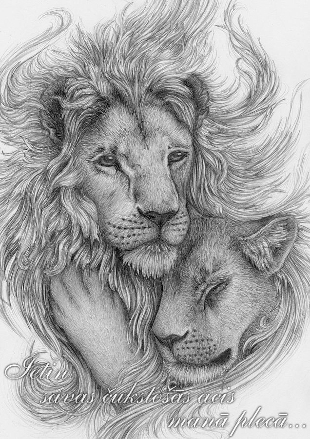 636x900 Wrap Up Your Whispering Eyes In My Shoulder Draw Me - Lion And Lioness Sketch