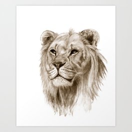 264x264 Lion Drawing Art Prints Society6 - Lion Art Sketch